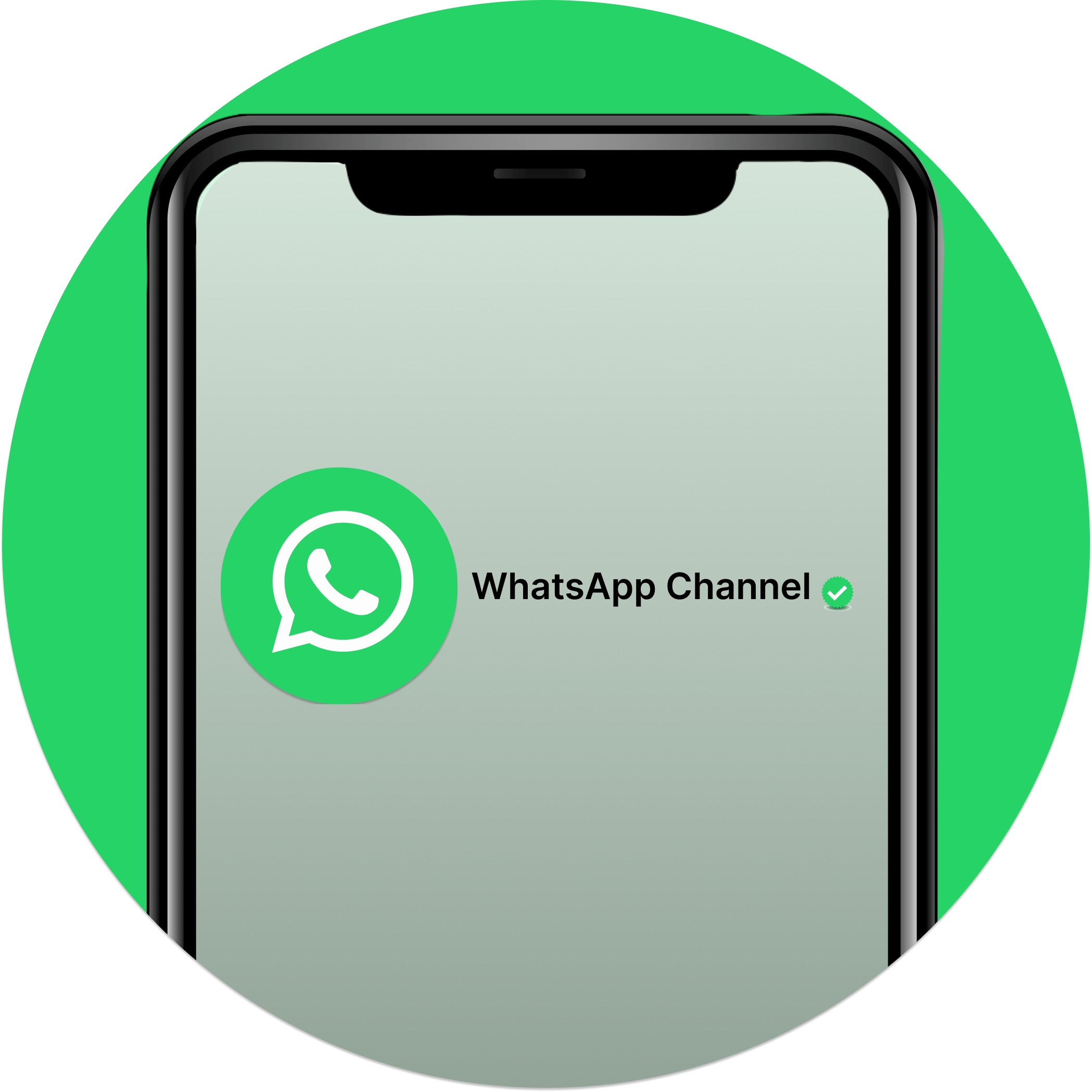 WhatsApp Channel Launched 